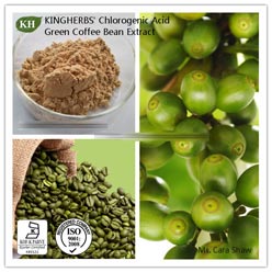 Green Coffee Bean Extract Chlorogenic Acid 10%, 45%, 50%, 60%